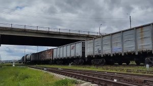 Железная дорога. Грузовые и пассажирские поезда на перегоне Благовещенск-Моховая Падь