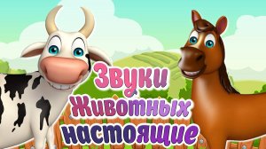 КАК ГОВОРЯТ ЖИВОТНЫЕ + РАЗВИВАЮЩИЕ МУЛЬТИКИ ПРО ЖИВОТНЫХ +ГОЛОСА И ЗВУКИ ЖИВОТНЫХ+ МУЛЬТИКИ МАЛЫШАМ
