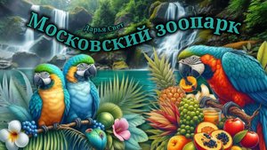 Попугаи. Молуккский какаду. Когда ты не от мира сего. Московский зоопарк. Лето 2025