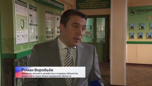 Нижегородский Минлесхоз провёл жеребьёвку на право получения разрешения на добычу копытных животных