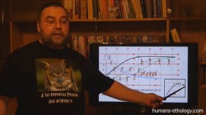 Олег Новоселов. Формула судьбы 3 часть.