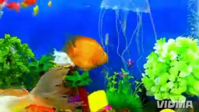 Путешествие по аквариуме смотреть онлайн