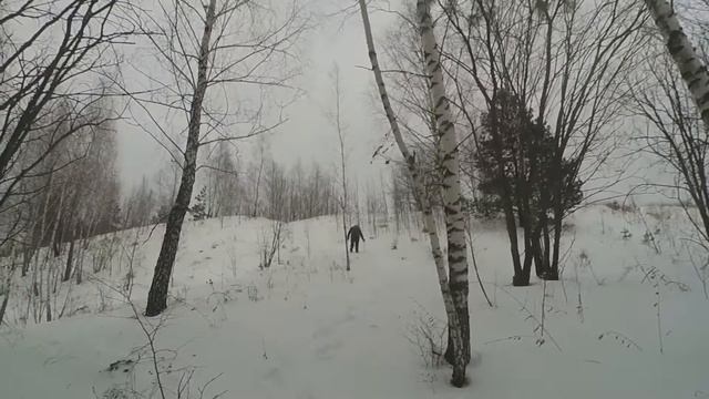 Вот что бывает в ПВД