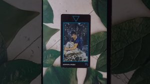 Для начинающих.Таро Манара.Фигурные арканы.Король Воды.