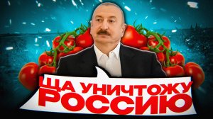 ТОМАТНЫЙ ФРОНТ АЛИЕВА