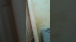 МЫ ПОЙМАЛИ ШАЙЛУШАЯ! ШАЙЛУШАЙ В РЕАЛЬНОЙ ЖИЗНИ.