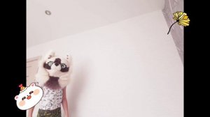 Спасибо большое за то что подписывайтесь на меня вас уже семь!