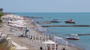 Тюльпановка