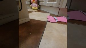 записала Утю в школу фей♡♡♡