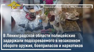 В Ленинградской области полицейские задержали подозреваемого в незаконном обороте оружия