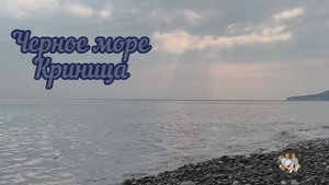Черное море Криница