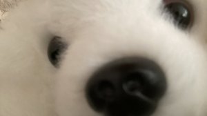 77624530241__2484C239-68DD-4CB9-936E-4124EB49A708