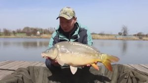 Рыбалка на флэт фидер весной 2025 наловил карпа на фидерную снасть.