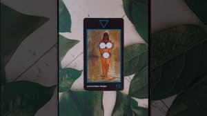 Для начинающих.Таро Манара.Фигурные арканы.Королева Воды.