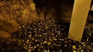 Backrooms 8 - Return to the grassroom corridors (#14)