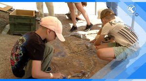 07.08.2025 Более тысячи уникальных артефактов обнаружили кузбасские палеонтологи