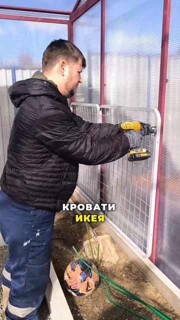 Лайфхак для выращивания гороха! смотреть онлайн