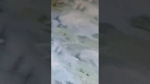 вопрос ответ