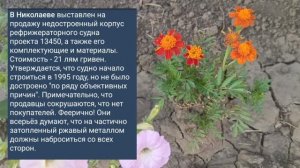 Николаев 8 августа 2025 года (новости)