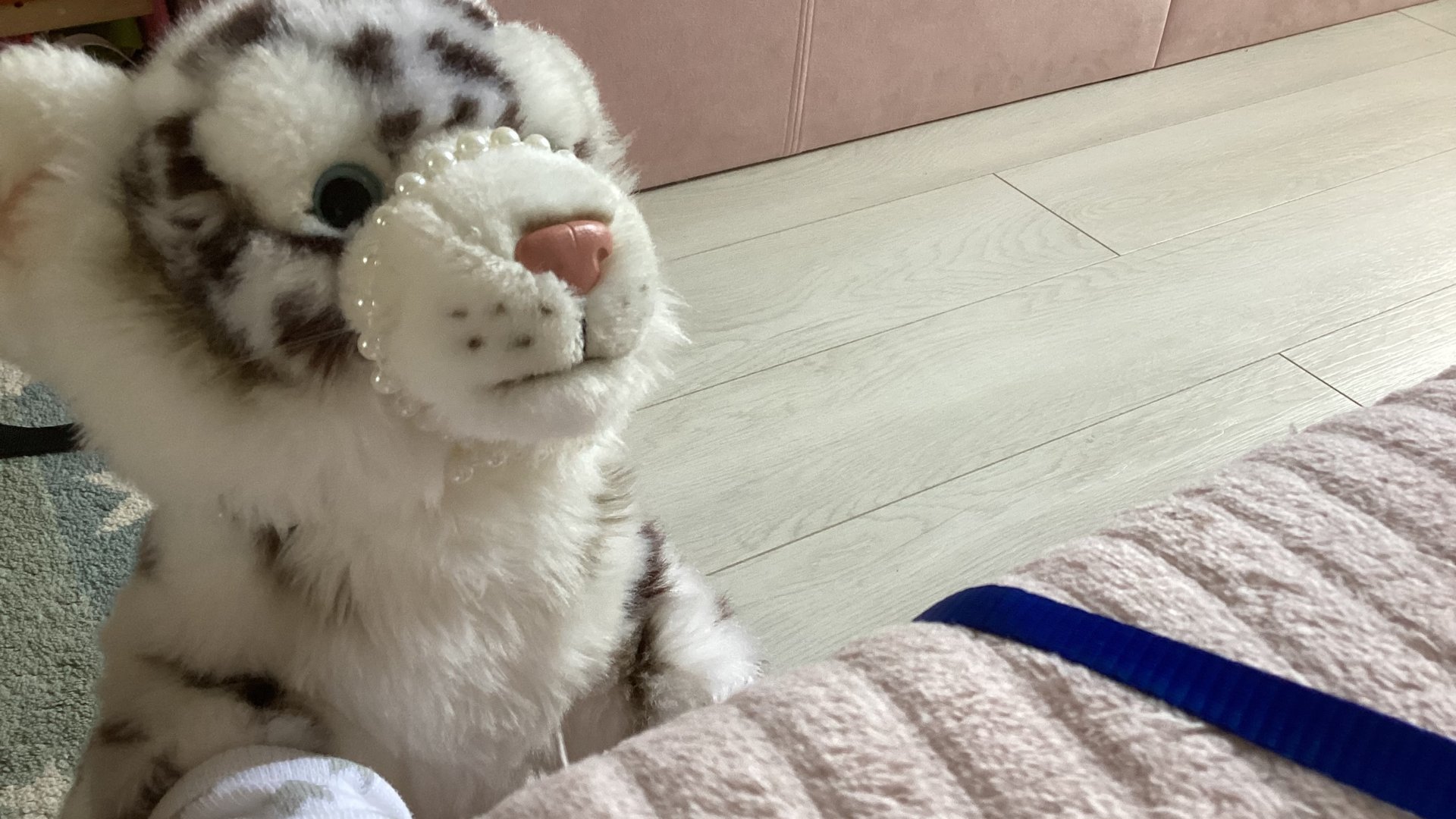 77624612629__3FB22C60-A577-4DED-BB45-12FBD911C064 смотреть онлайн