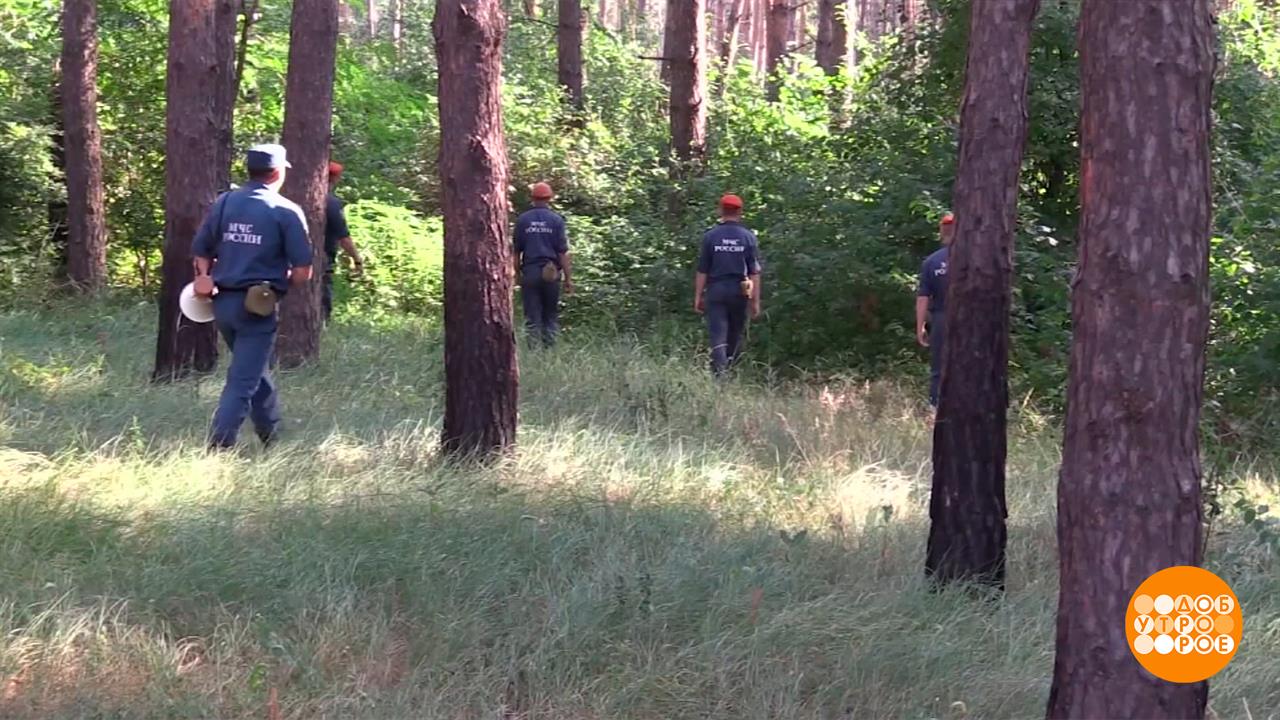 Тихая охота: как не заблудиться. Доброе утро. Фрагмент выпуска от 07.08.2025