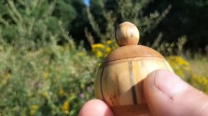 Шкатулка в августовском лесу с цветами