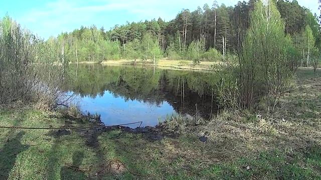 Нашли трубогиб в пруду на Селене. Поисковый магнит