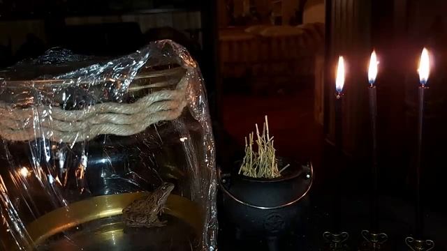 МЕСТЬ ЧЕРЕЗ ЖАБЬЮ МАТЕРЬ...очень сильно.для смелых...ИНГА ХОСРОЕВА. смотреть онлайн