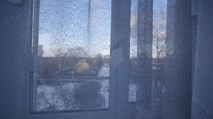 пушкинская 42а