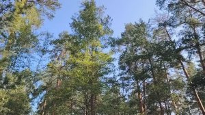 От куда растут руки?.. Отсутствие самостоятельного планирования своей собственной жизни