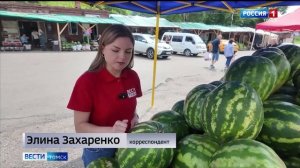 Россельхознадзор_Как_правильно_выбрать_арбуз_Вести_Томск_18.07.2025