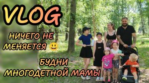 Будни многодетной мамы, пособия, дети, покупки