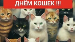 С днём кошек. Музыкальная открытка поздравление.