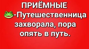 Приёмные/Обзор.