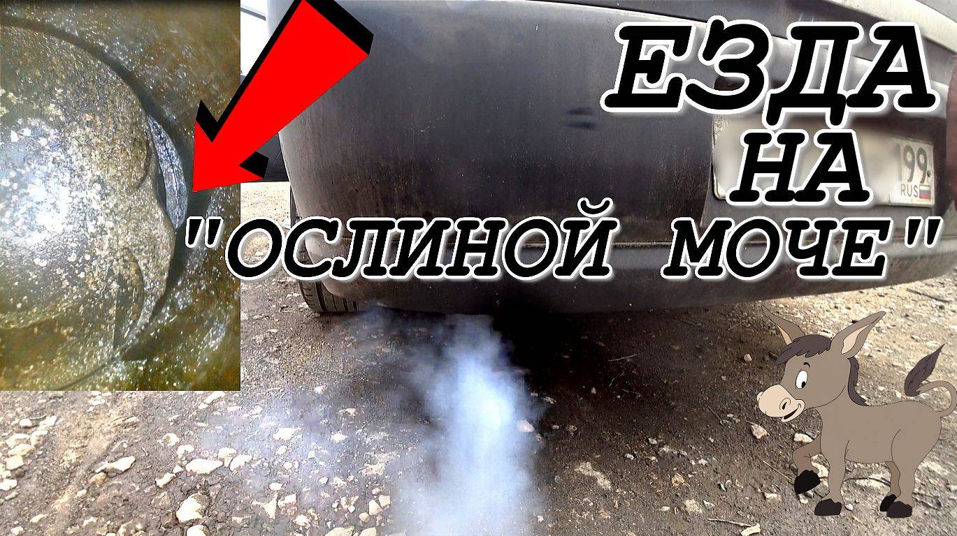 Весь двигатель собрали на герметике. К чему приводит езда на ОСЛИНОЙ МОЧЕ?