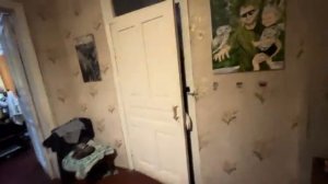 Виталик Зелёный Закупка на неделю Распаковка