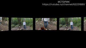 Зубцов и нефть