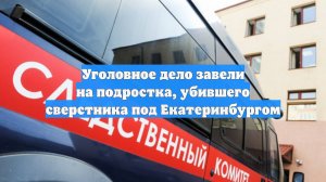 Уголовное дело завели на подростка, убившего сверстника под Екатеринбургом