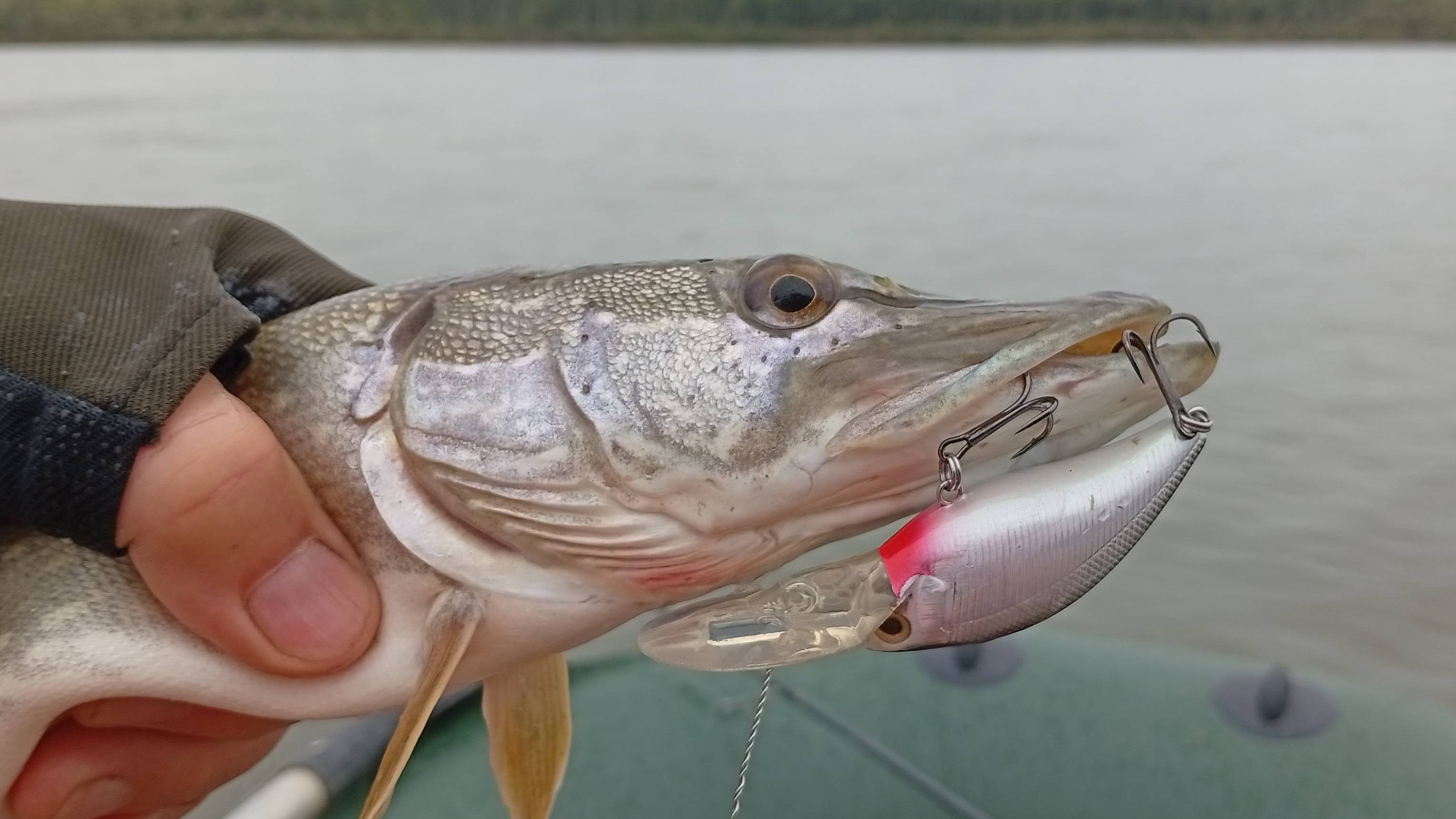 Распаковка посылки с воблером Strike Pro Cabbie Crank