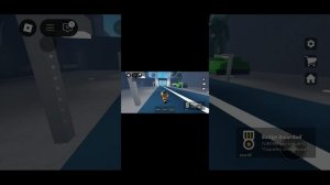 играю в роблокс