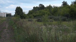 Тепловоз 2ТЭ10М-2082. Звук 10Д100.