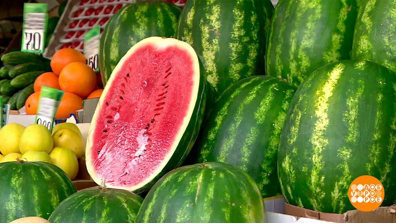 Арбузы и дыни: наши - слаще всех! Доброе утро. Фрагмент выпуска от 07.08.2025