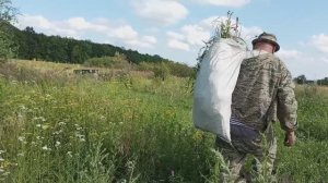 ЗАПОЗДАЛОЕ ВИДЕО, ПЕРВЫЙ РАЗ СОЙДЁТ