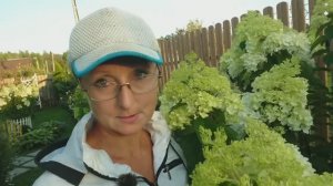 Видео привет с 6 соток 3 августа 2025 года.