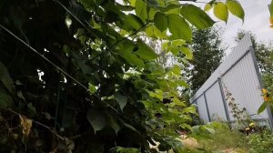 06.08.2025 конец отпуска