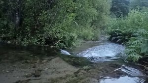 Звуки природы. Шум речки.