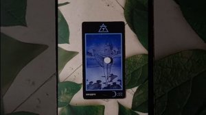 Для начинающих.Таро Манара.Младшие арканы.Семерка Воздуха