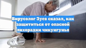 Вирусолог Зуев сказал, как защититься от опасной лихорадки чикунгунья