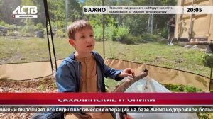 Сахалинские экзотические деревья