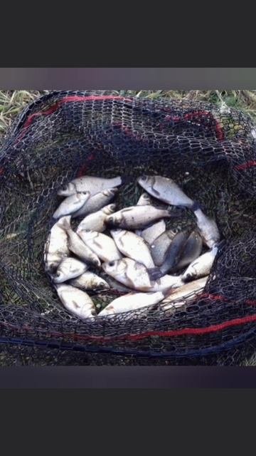 Рыбалка в отпуске👍 5 День рыбалки🎣 Сегодня немного порыбачил на Старице🎣